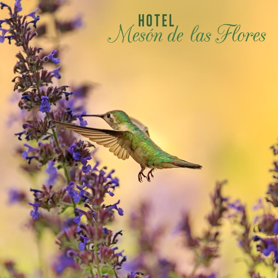 Hotel Meson De Las Flores Armenia  Luaran gambar